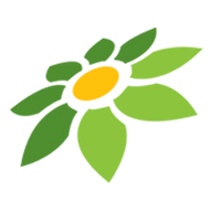 CHORDTELA LAMUNAN